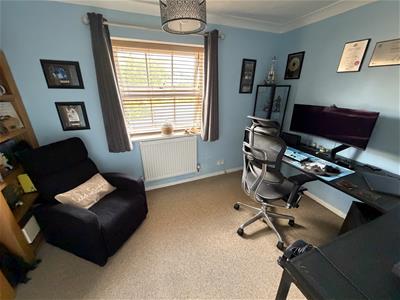 Picture 8